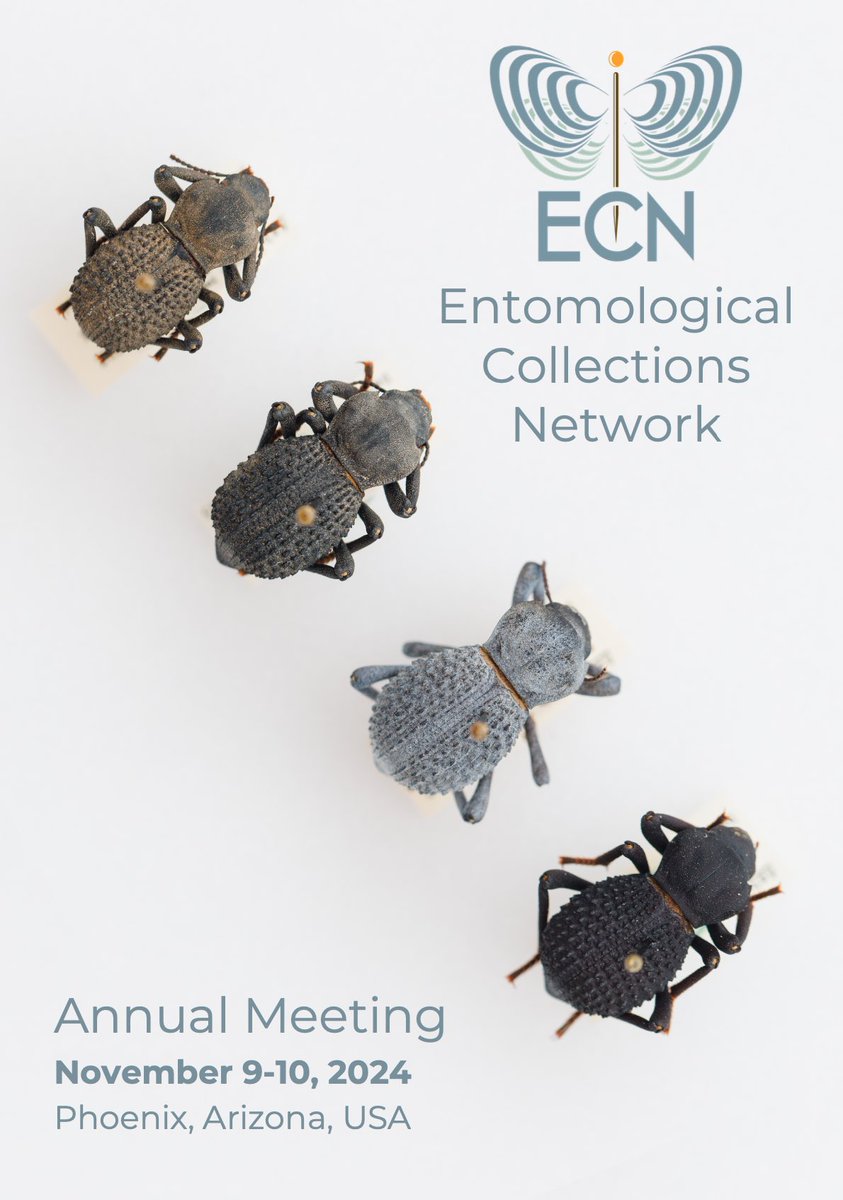 EntCollNet's tweet photo. Less than 1 week to go until our annual meeting! We’re so excited to see you soon in Phoenix (and online)! 

The full program is available to browse on our website: https://t.co/pW74TNneEr 

#ECN2024 https://t.co/tJeQdpcWwr