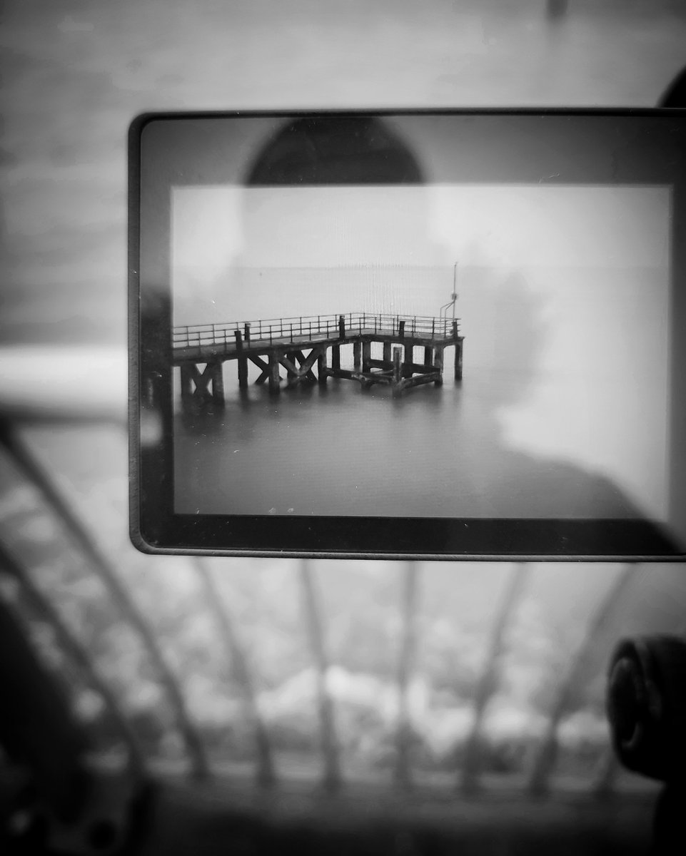 _michaelhartley's tweet image. Gm 📷

Back of the camera view from earlier today