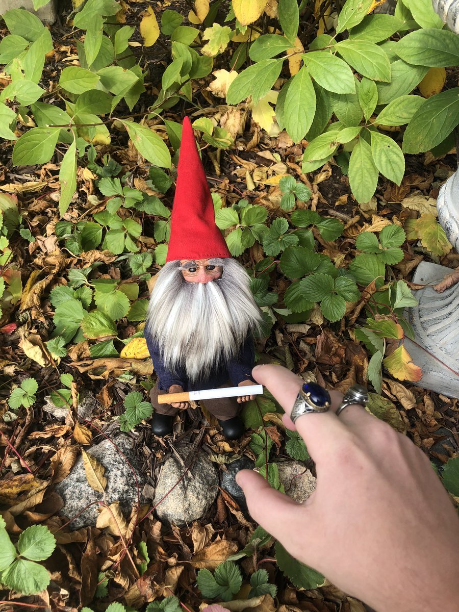 gregthesorcerer's tweet photo. I’ve been throwing pieces of bread to the gnomes in my garden and they’ve begun to offer me little gifts in return https://t.co/cHENM05Uy0