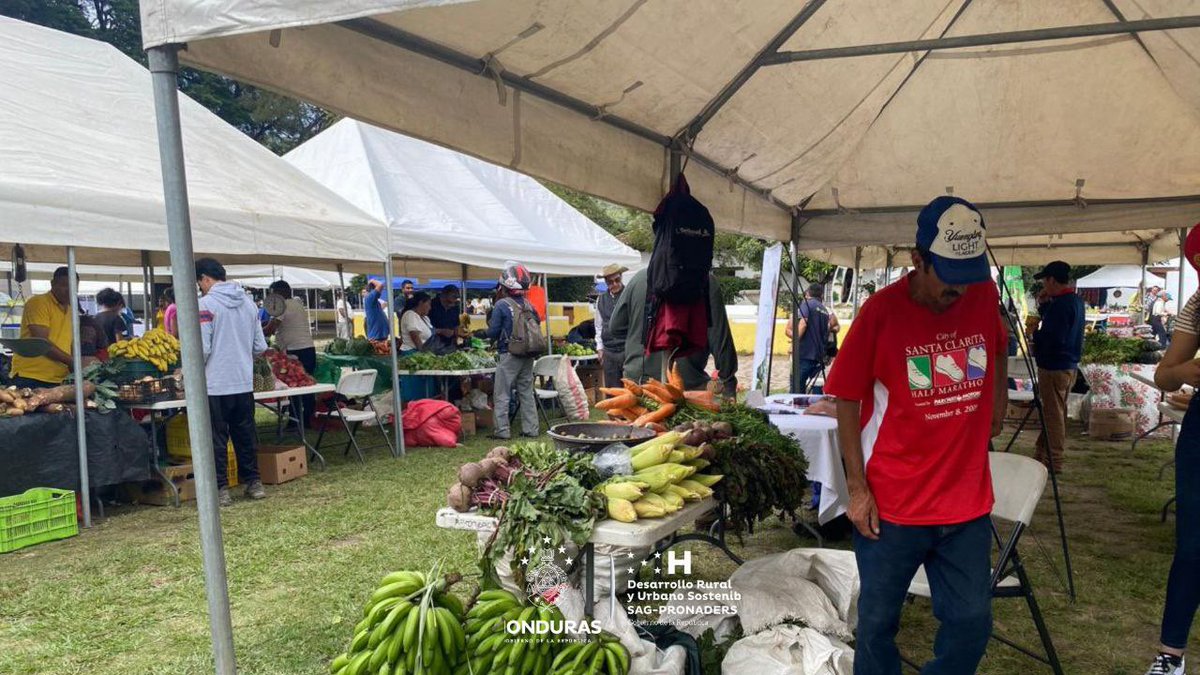 pronaders_hn's tweet photo. 📍 Ojojona, Francisco Morazán.

🫛🌽La tan esperada #FeriSAG ha llegado, transformando la comunidad con la presencia de #SAG_PRONADERS a través de los beneficiarios de sus proyectos. 🍅 🥦 https://t.co/QxeqcMPhkL