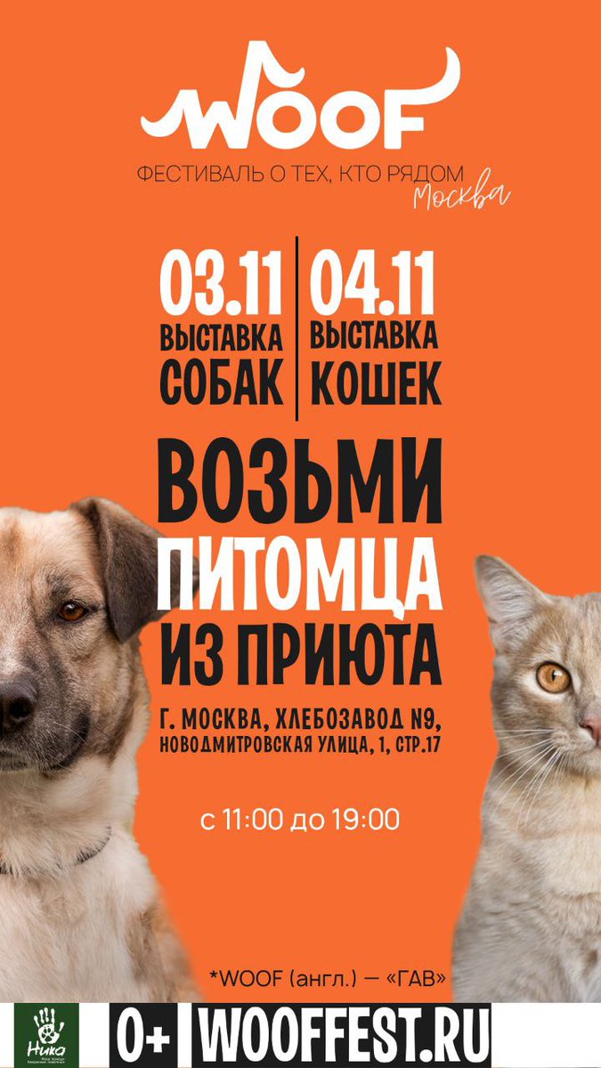 vaban_ru's tweet photo. 42 замечательных хвостика нашли сегодня свою семью и новый дом, я рад капец 🥰 https://t.co/dfV2IhfFeb