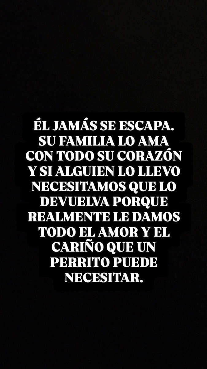 Daaniiaquino's tweet photo. Buenas tardes, buen domingo para todos. 
Necesito ayuda para encontrar a mi perrito.
Se llama Pedro, tiene 11 meses. 
Se perdió o lo llevaron el día domingo aproximadamente 2/ 2:30 🆘🥹😔🙏🙏
Agradezco muchisimo su ayuda. https://t.co/n1y7wU1PCj