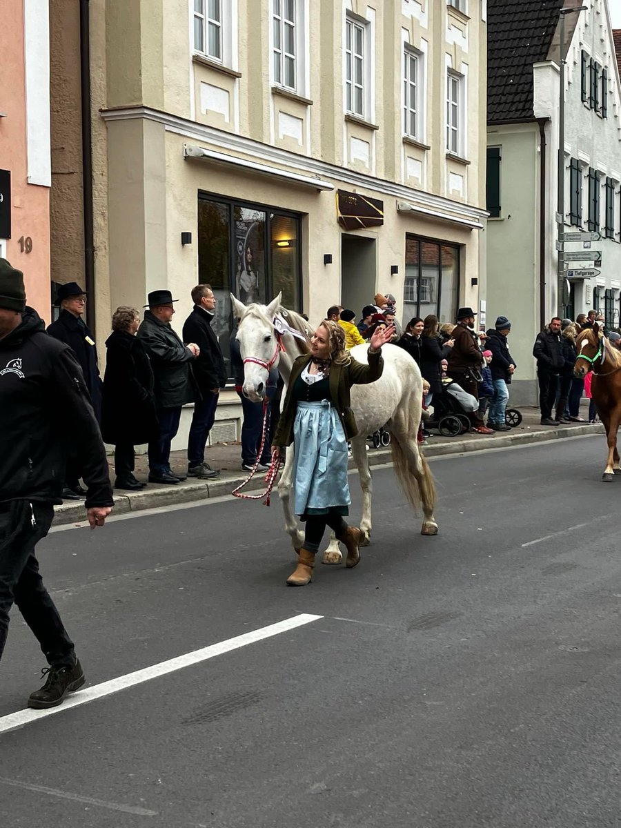 juleblume80's tweet photo. Rockstar Baby Pferd! Dafür er vor drei Monaten noch nicht mal Apfel, kannte, hat sie das heute weg gerockt Unglaublich https://t.co/TG5vZn0AFC
