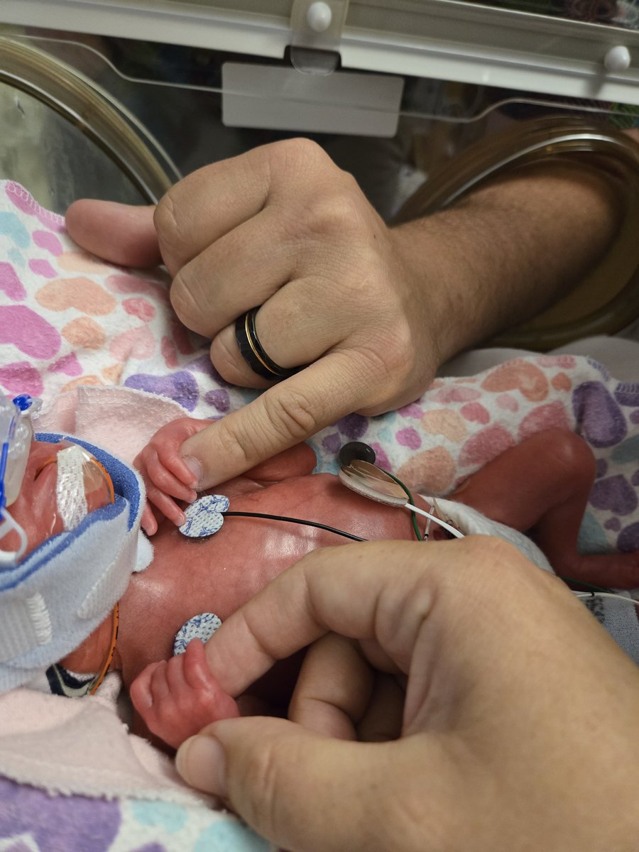 BadUglyUSA tweet media