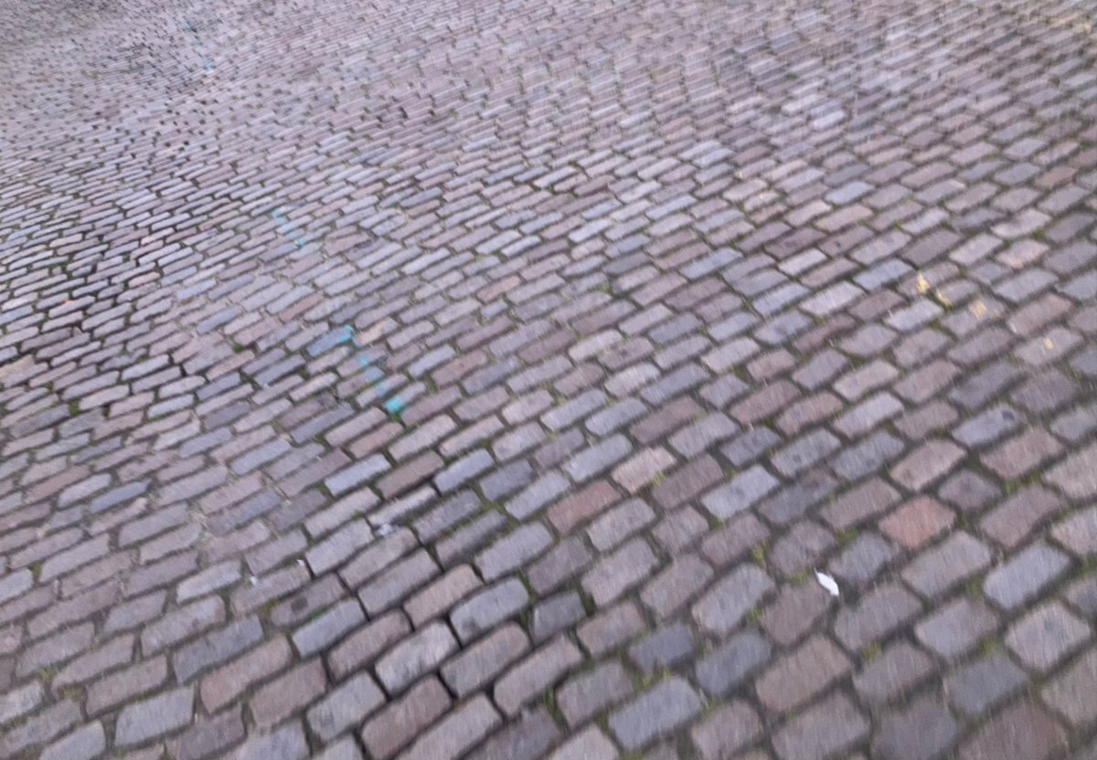 Chou de Brucycle  tweet media