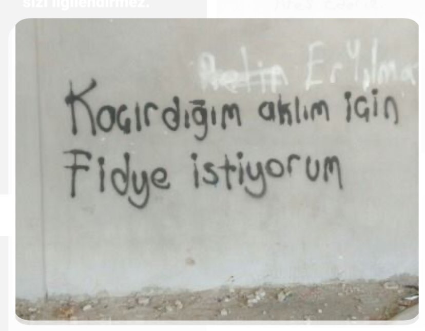 seyfi1308's tweet photo. Hisse senedi,altın,döviz,tl,arsa,çek,senet geçerlidir 🫠 https://t.co/kr8dxIcgUq