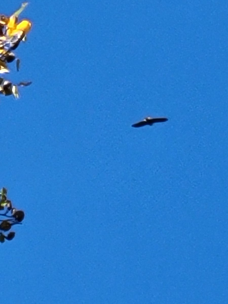 Andrew Clevenger tweet media