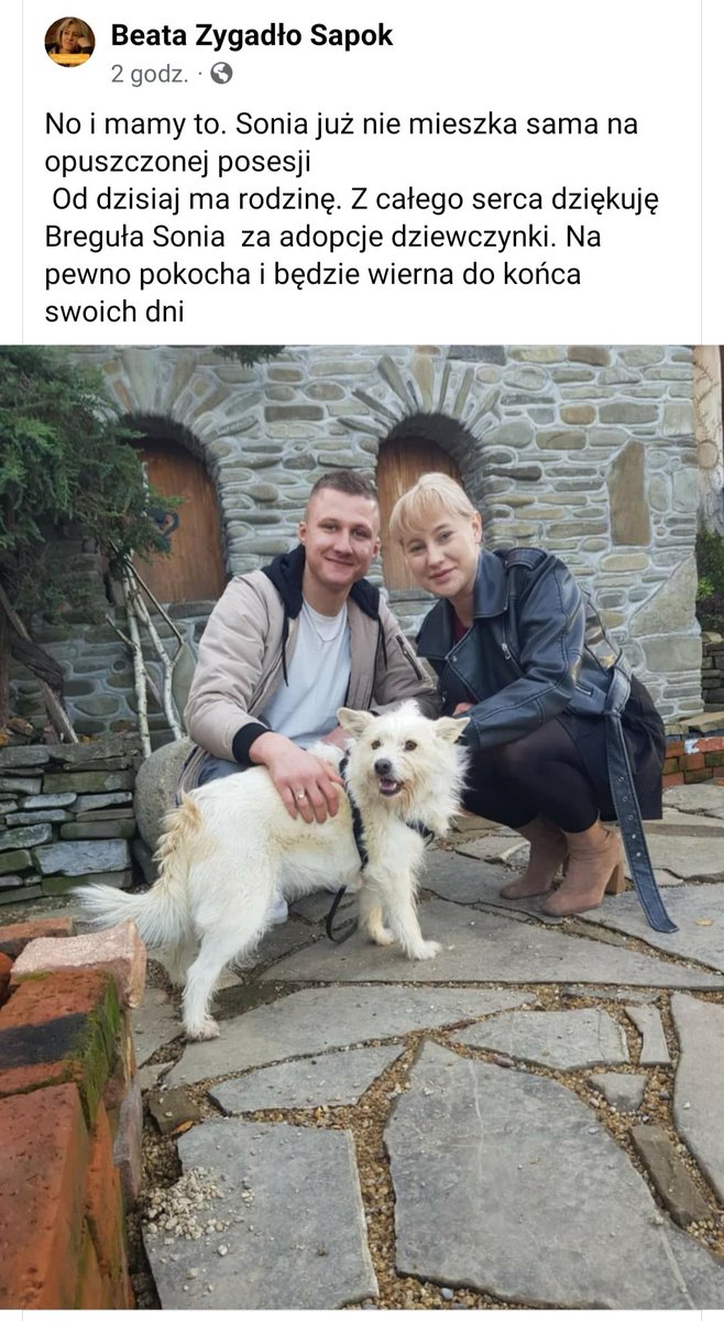 Kochani ❗ SONIA 🐕 już nie mieszka sama na opuszczonej posesji, bo od dzisiaj ma 🏡 i kochającą rodzinkę 🥹🥳💗😍 Bądź szczęśliwa Maleńka 😘🫶🐾🍀
#NieKupujAdoptuj