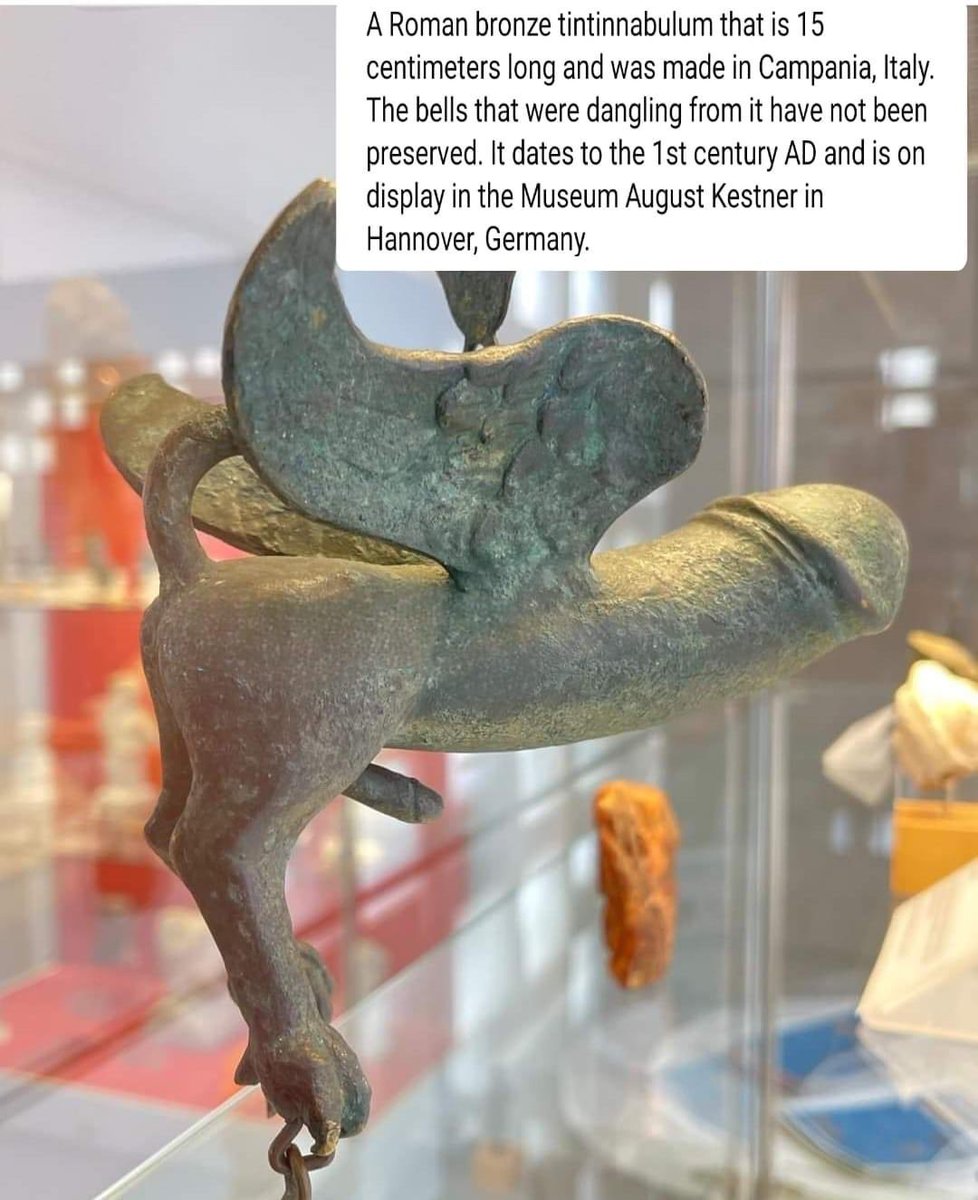 Dr Helen Ingram tweet media