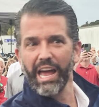 TracyDepa's tweet photo. @MikeSington When he sees the crowd (or lack of crowd!) https://t.co/hgNc73YeNX
