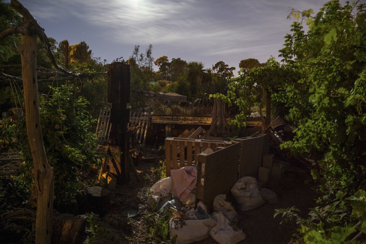 The Evergreen Review tweet media