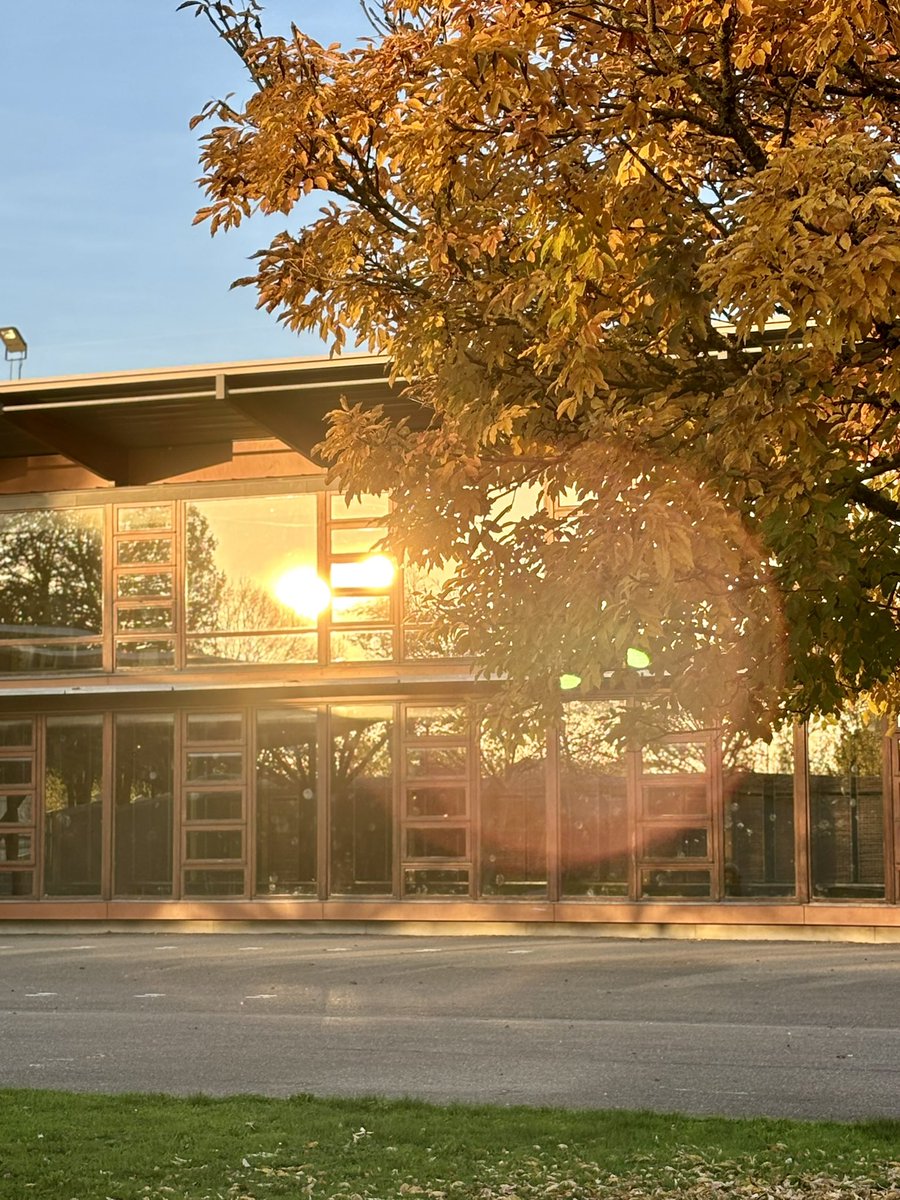 Cyril Scarcelli tweet media