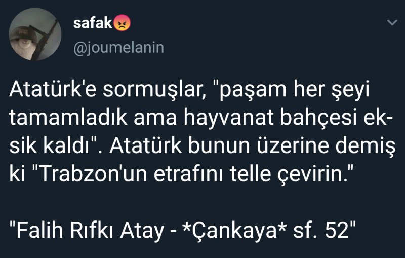 Demet (@1demetsahin) on Twitter photo 