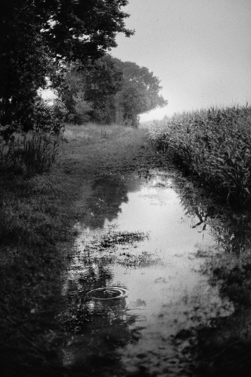 nomoth (@apevisions) on Twitter photo 