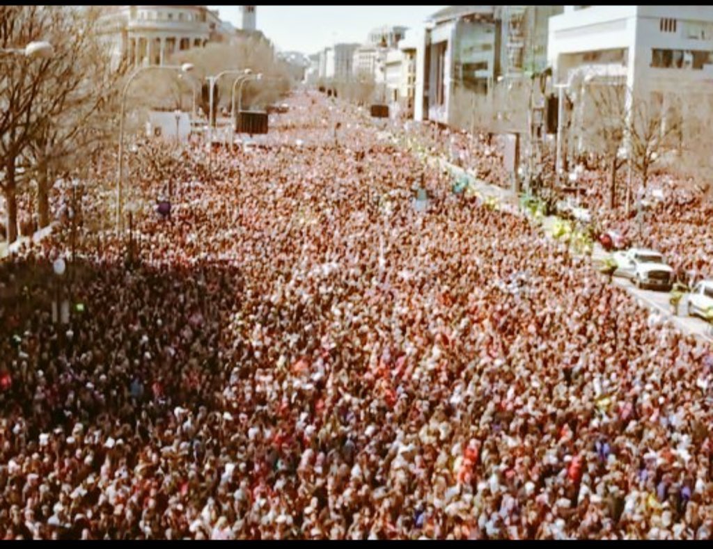 Savannah Insights 🎙️ tweet media