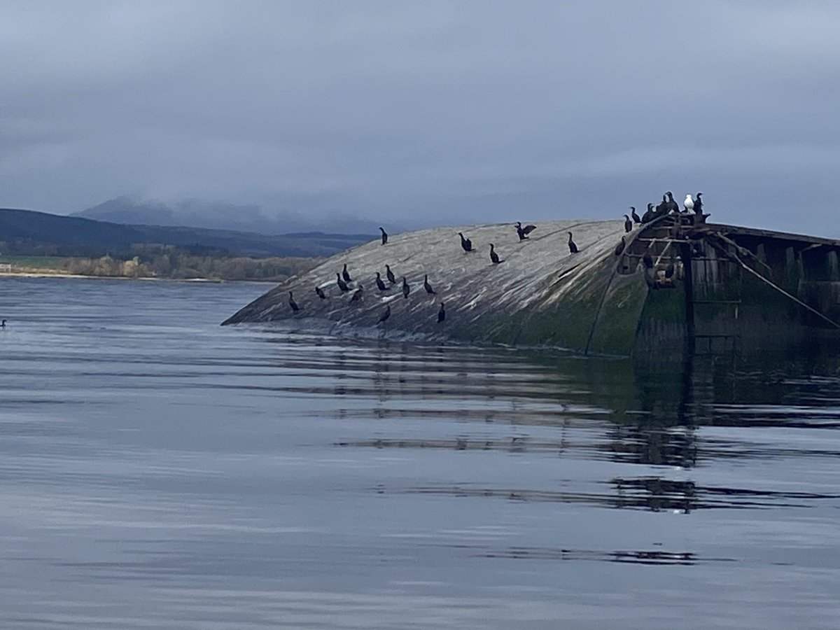 Filming on the Clyde when the cameraman dives overboard tom rescue his drone. Ffs. Crazy boy! X