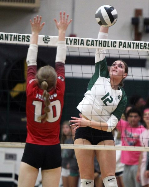 Mark Perez-Krywany 🤓 tweet media