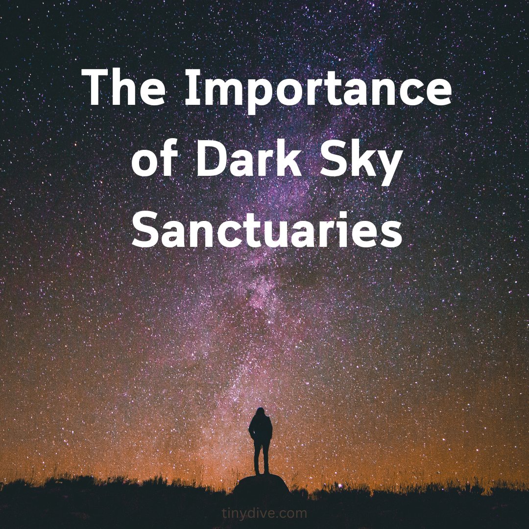 tinydive's tweet image. The Importance of Dark Sky Sanctuaries
#darksky #nightsky #space #environment 
tinydive.com/2024/11/03/the…