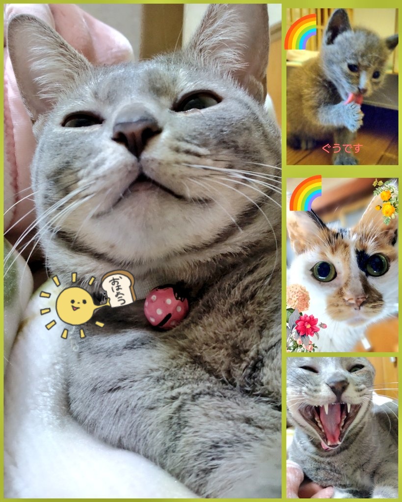 1 4b【110634.com】.chj