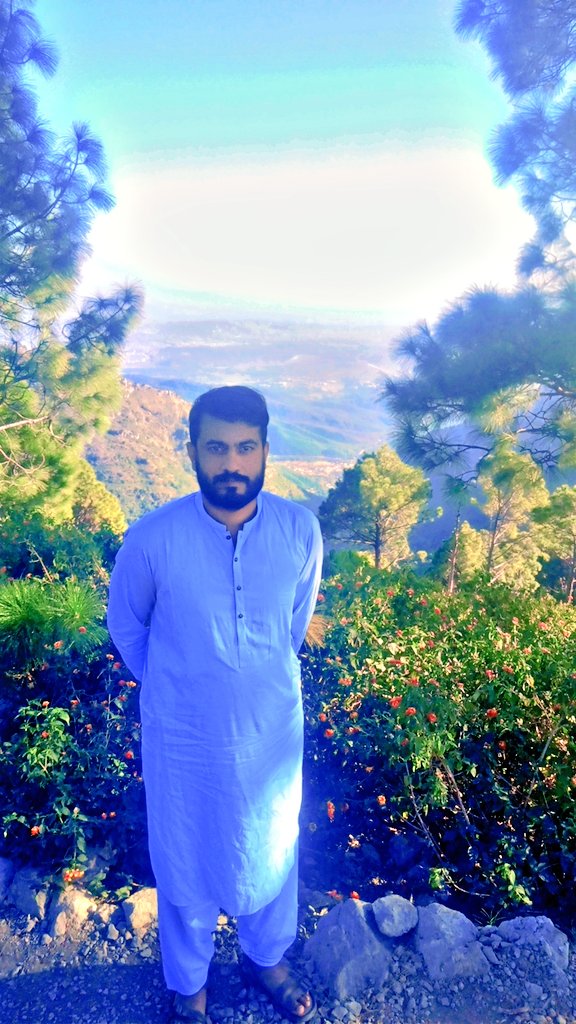 tajmalafzalgill's tweet photo. Dino Vali 🦖 https://t.co/QCiCq0uttq