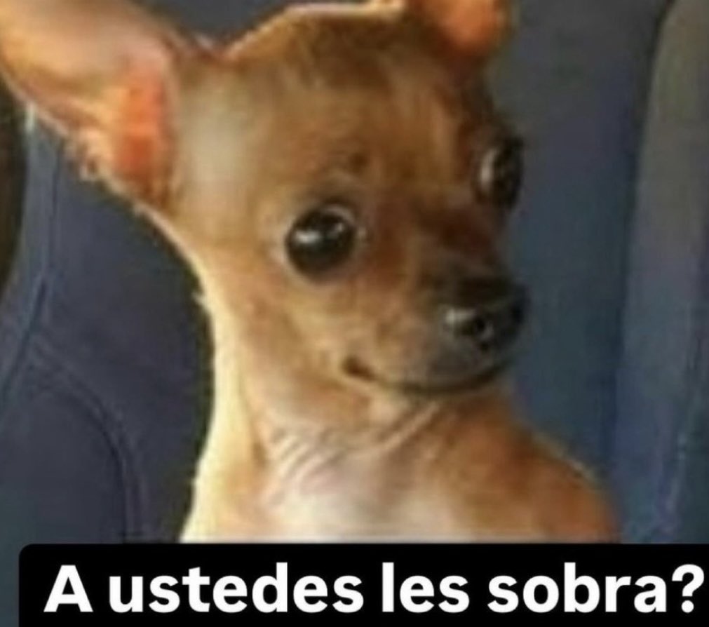 adal59's tweet photo. ¿Y qué haces con lo que te sobra del sueldo? https://t.co/UvZVVzjnxA