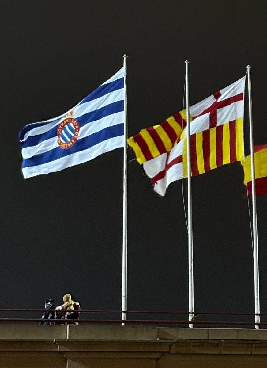 alia🌻 tweet media