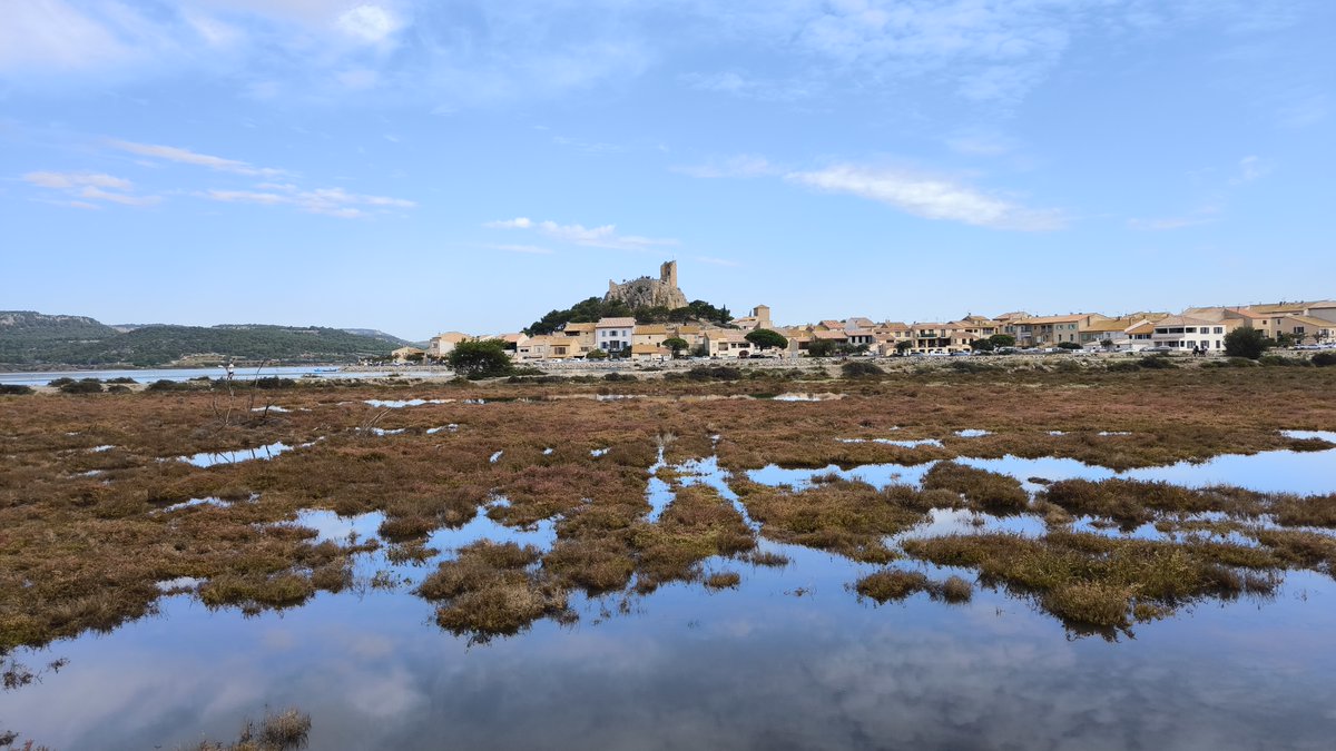 Matos Vélo 🚲 tweet media