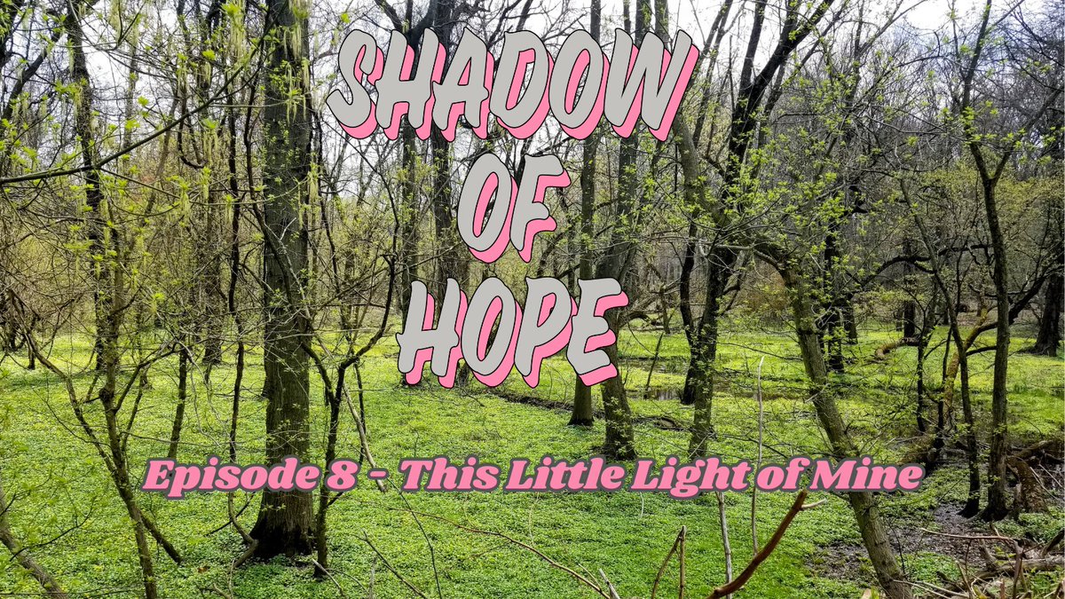Shadow of Hope tweet media