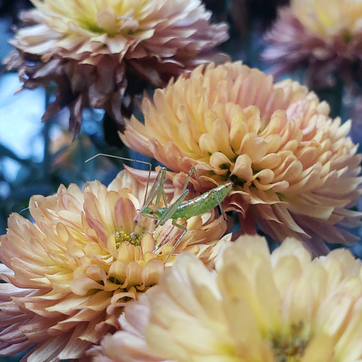 ⸻⸻⸻⸻⸻⸻⸻⸻⸻⸻⸻⸻⸻⸻⸻⸻⸻⸻⸻⸻⸻⸻⸻⸻⸻⸻⸻⸻⸻⸻⸻⸻⸻⸻⸻⸻⸻⸻⸻⸻⸻⸻⸻⸻⸻⸻⸻⸻⸻⸻ tweet media