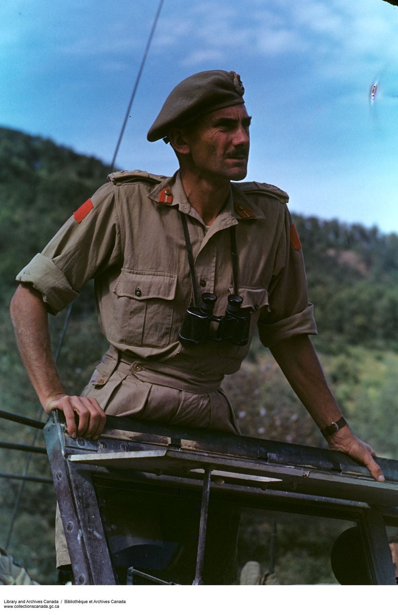 Project '44 tweet media