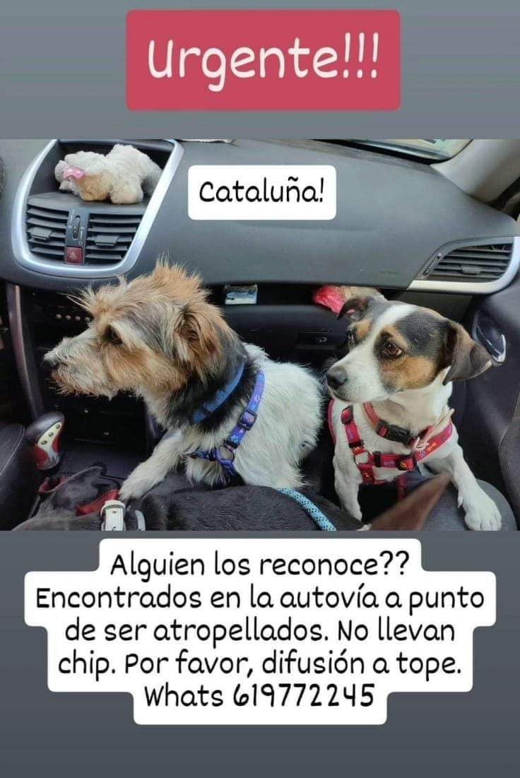 Xavi Kastro tweet media