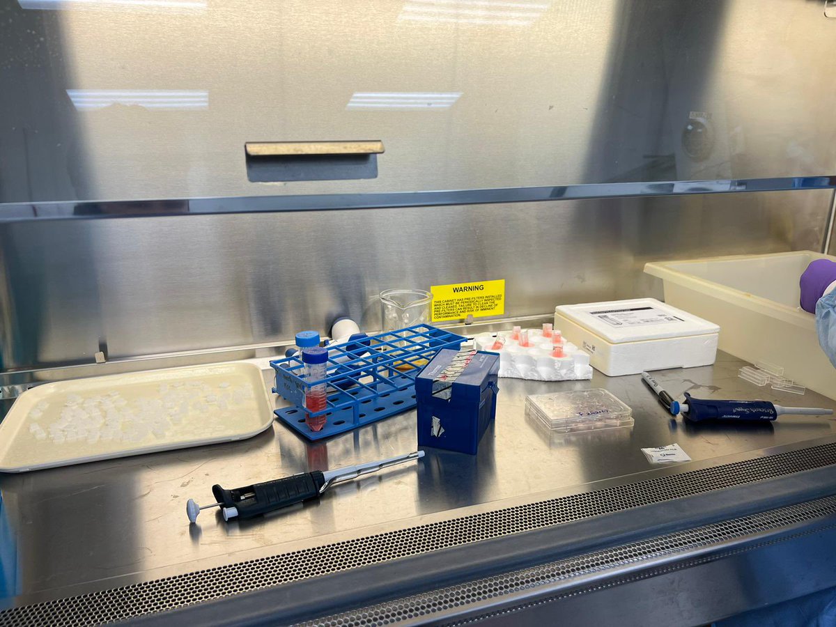 Botnar Institute for Musculoskeletal Sciences tweet media