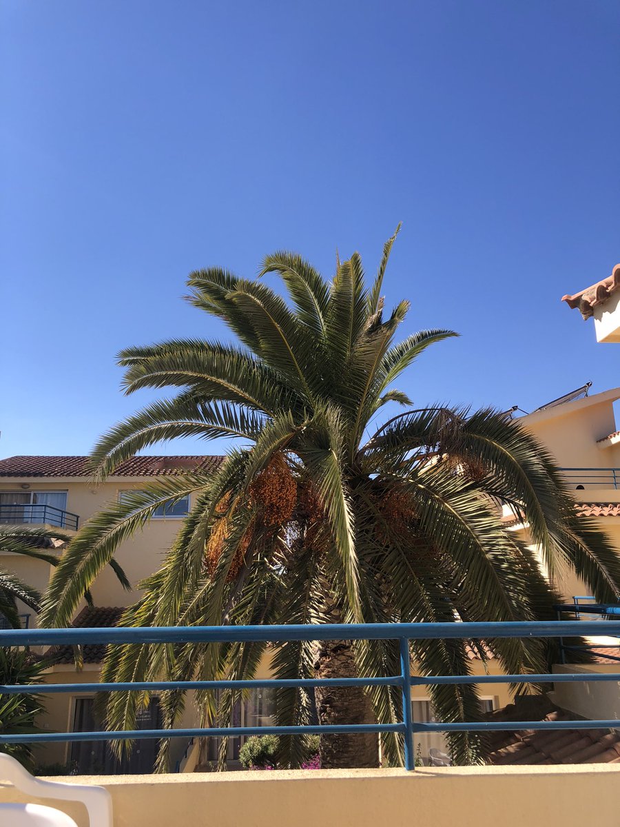 art4holmes tweet media