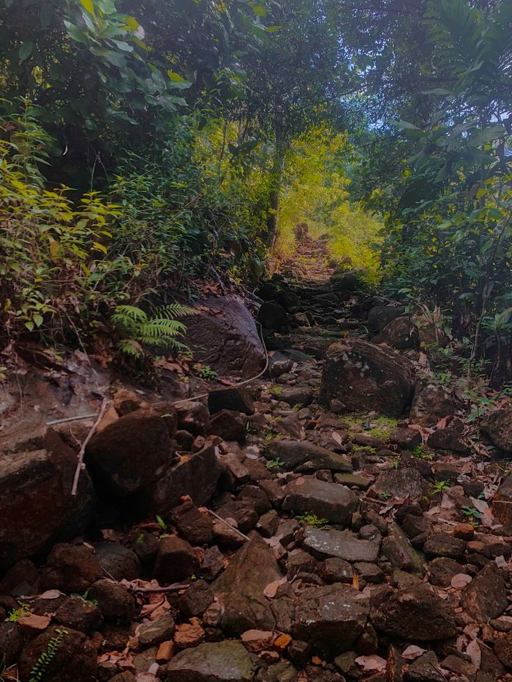 emartsnap's tweet photo. Nature’s artwork😍
.
.
.

#stonesetting #naturalstone #wallpaper #naturephotography #naturelovers #naturephoto #natureplay #rock #mountains #hike #srilanka #natureaddict #photography https://t.co/gKRDHxfuUZ