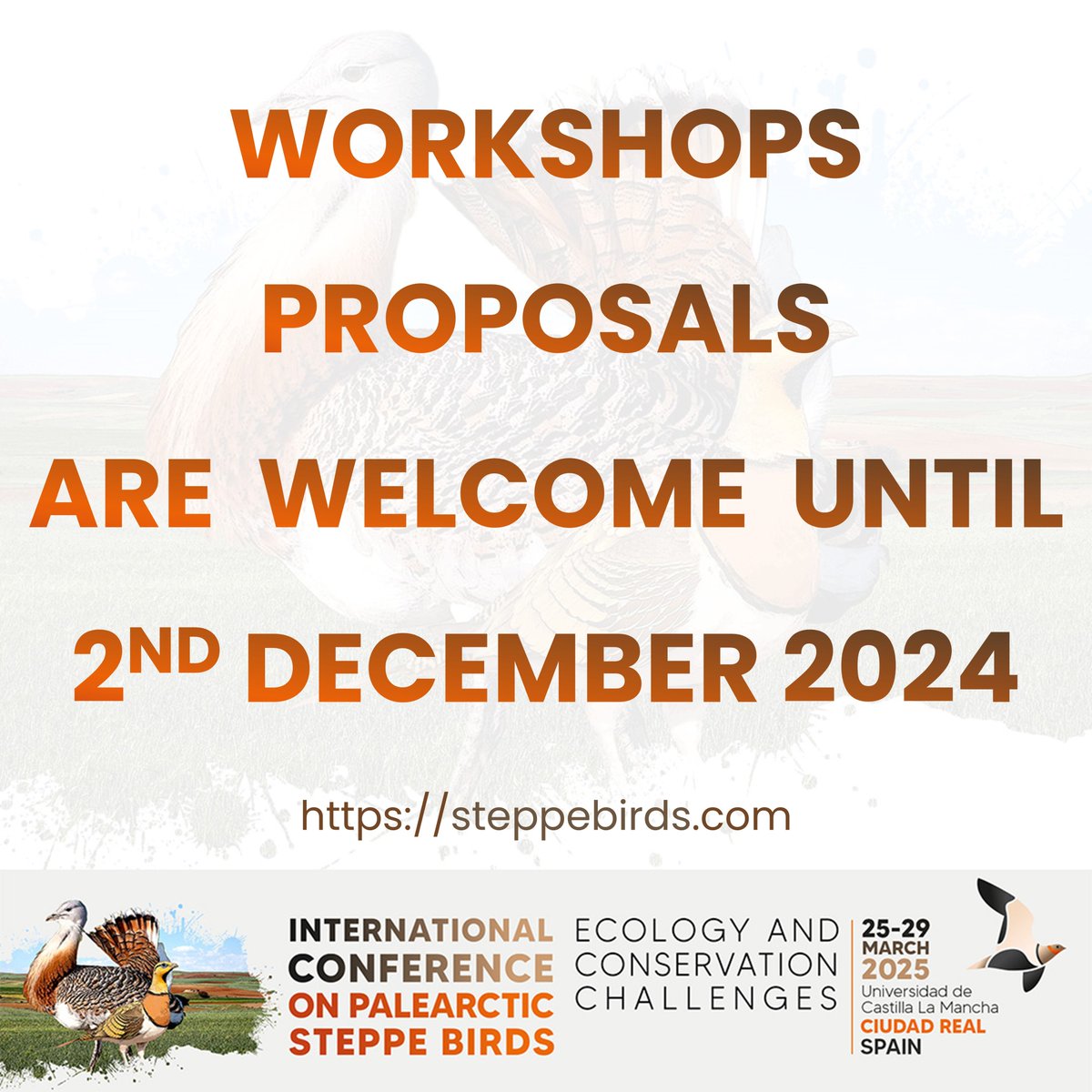 📢Workshop Proposal Call!!  

🔧 Do you have innovative ideas to share about steppe bird conservation or research? We want YOU at #SteppeBirds2025!  

Submit your workshop proposals by December 2nd!  

➡️More information on steppebirds.com