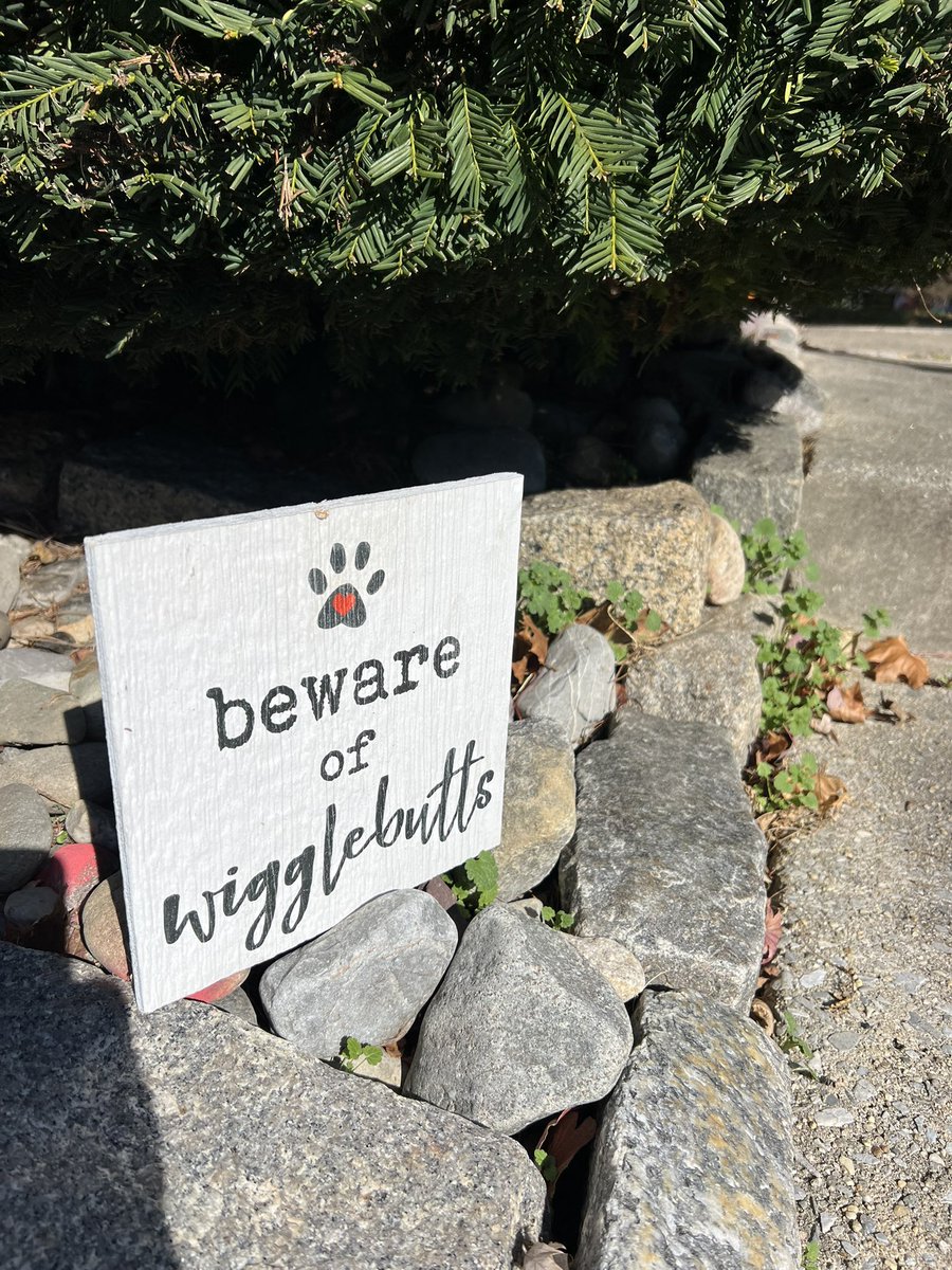 Christen (this is my indoor voice) Rexing,PhD,MPH tweet media