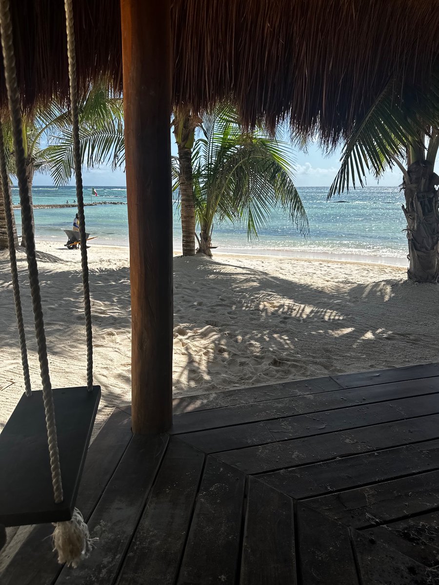 Free Palestine! tweet media