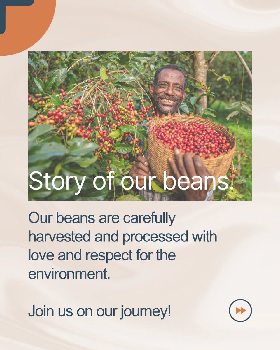 twigacoffee's tweet photo. Ever felt a connection to your cup of coffee? ☕✨

The journey from bean to brew is more than just flavor—it’s a story of nature, community, and conservation.

At Twiga Coffee, we believe that every sip tells a tale. Our beans are carefully sourced from some of the finest growing regions around the world. 🌱

We’re committed to sustainable practices that not only produce exceptional coffee but also protect wildlife and their habitats. 🦒🌳

When you choose Twiga Coffee, you’re not just enjoying a delicious cup—you’re supporting ethical farming and making a positive impact on our planet.

Have you ever tried single-origin coffee? Experience the unique flavors and rich stories behind each cup with Twiga Coffee!

Join our mission to enjoy coffee that cares for the Earth. 💚

Tap the link in our bio to explore our collection and share your thoughts on single-origin coffee in the comments below!

Together, let’s make every cup count! 🙌

#TwigaCoffee #SingleOrigin #SustainableCoffee #FromFarmToCup #WildlifeConservation #CoffeeLovers #EthicalCoffee #CoffeeWithPurpose