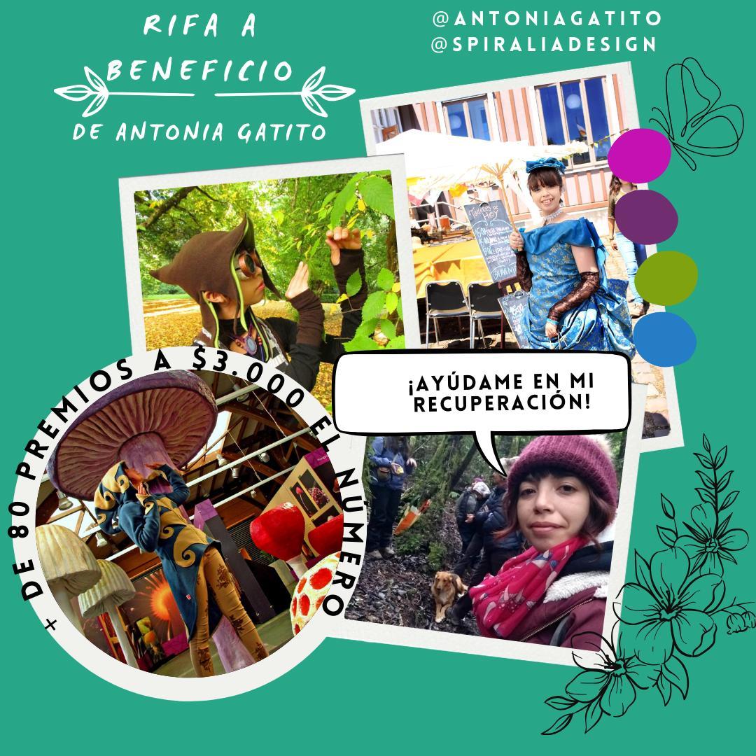 Mañana lunes 4 se lanza la rifa de apoyo a mi compañera Antonia 🐱 que tuvo un infarto cerebral 🧠 todavía quedan números a $3.000 y hay + de 84 premios (arte, diseño, discos, y muchos productos fungi) Si quieren apoyar me pueden escribir por acá y ayudar a difundir 🍄🌿🍂🍃🍁
