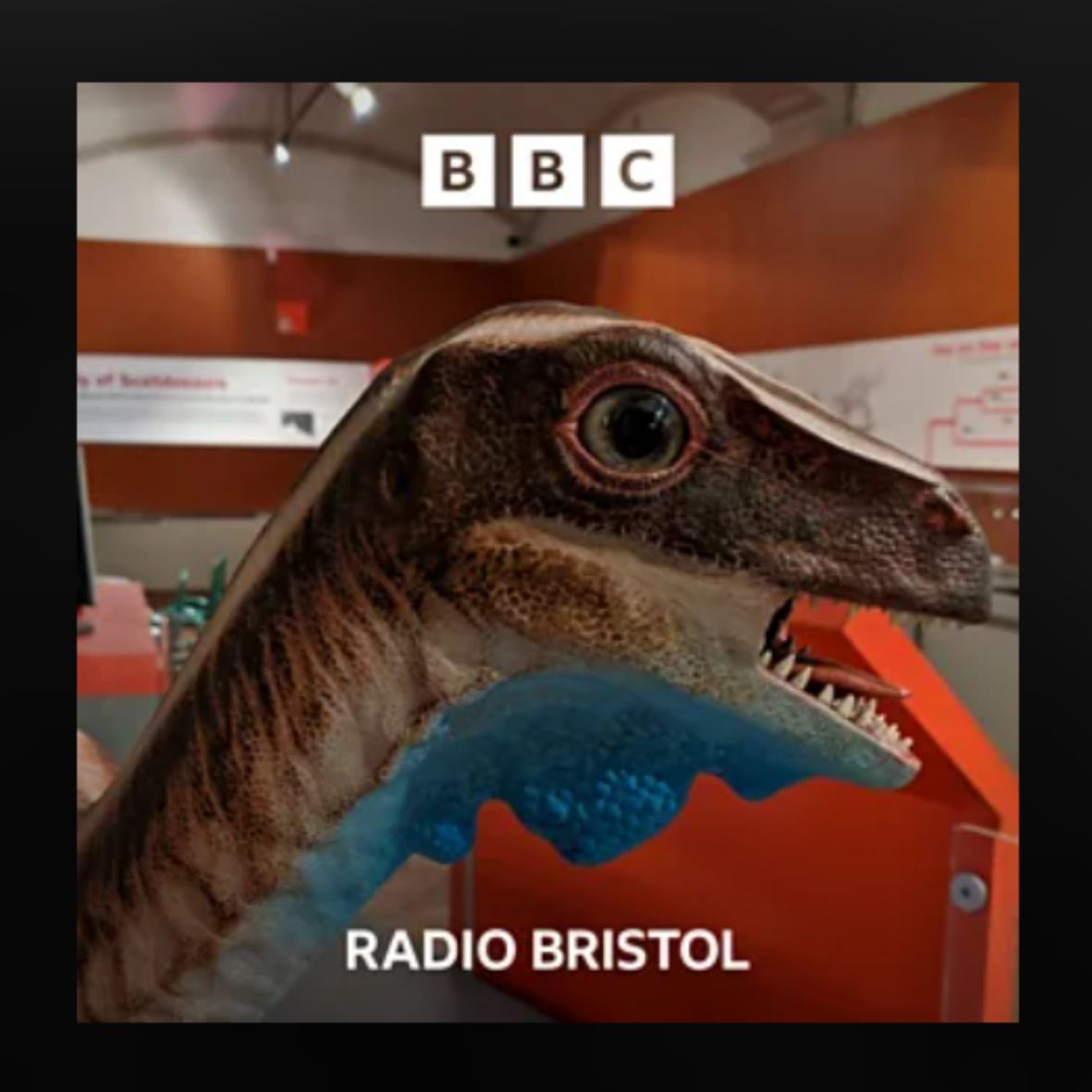 Did you hear BBC Radio Bristol talking about #dinosaurs this week? 

Professor Ben Garrod spoke to BBC Radio Bristol’s Joe Sims about Thecodontosaurus, or Theco, as we call our own model in the museum. 

You can listen to the full segment on BBC Sounds: orlo.uk/AIKlO