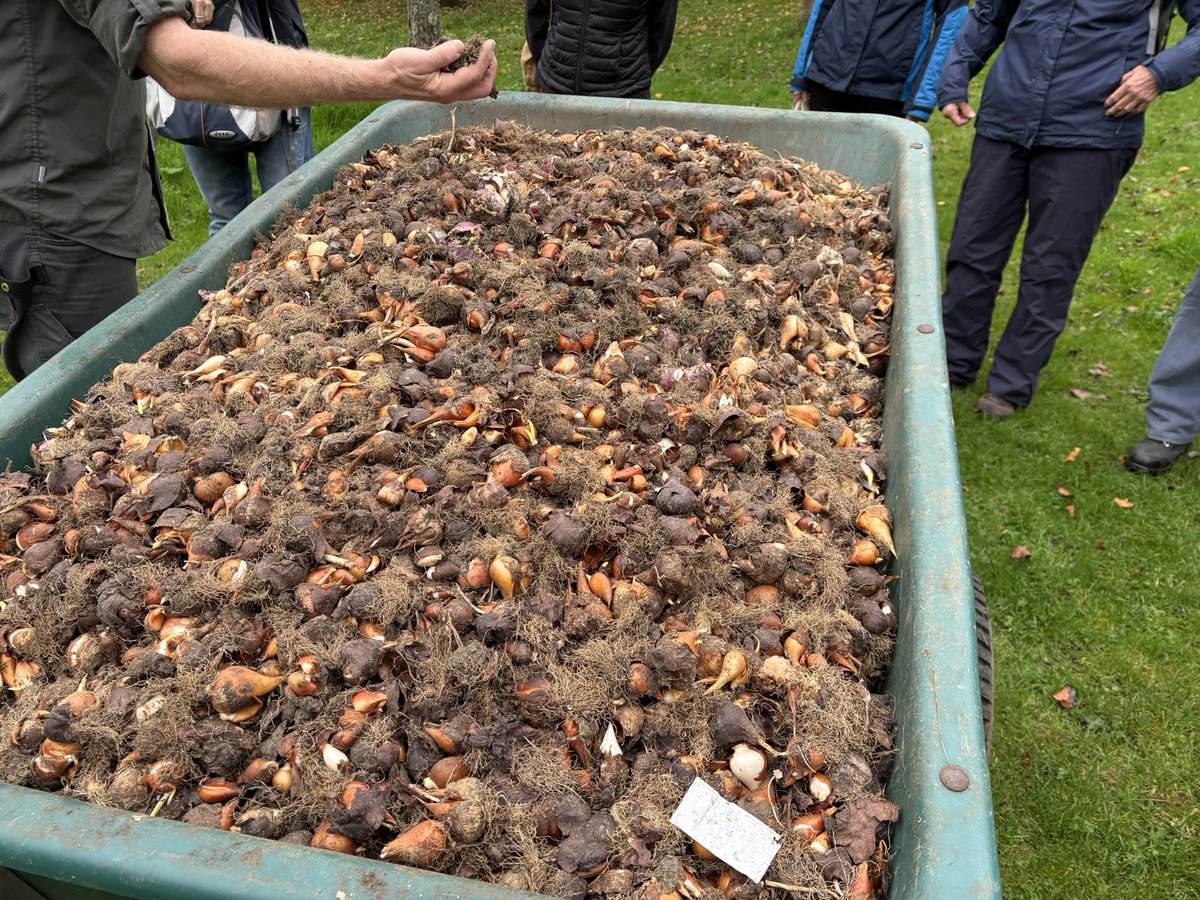 Bathntv's tweet photo. Some 15,000 bulbs planted in the orchard @NTDyrhamPark . Should be an awesome display in the Spring. The autumn colours looking lovely today.🍂 https://t.co/NmzjWjz4Hq