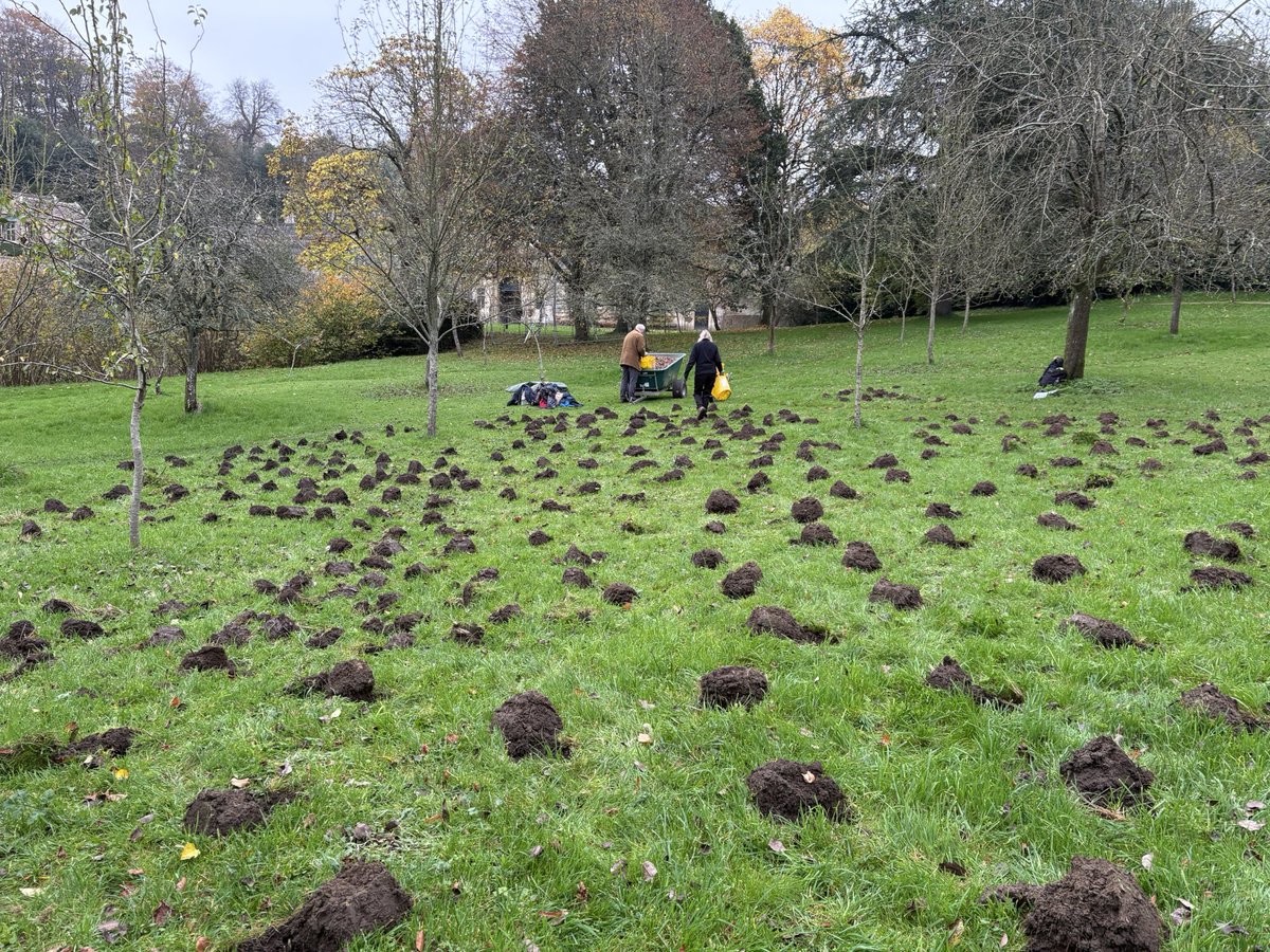 Bathntv's tweet photo. Some 15,000 bulbs planted in the orchard @NTDyrhamPark . Should be an awesome display in the Spring. The autumn colours looking lovely today.🍂 https://t.co/NmzjWjz4Hq