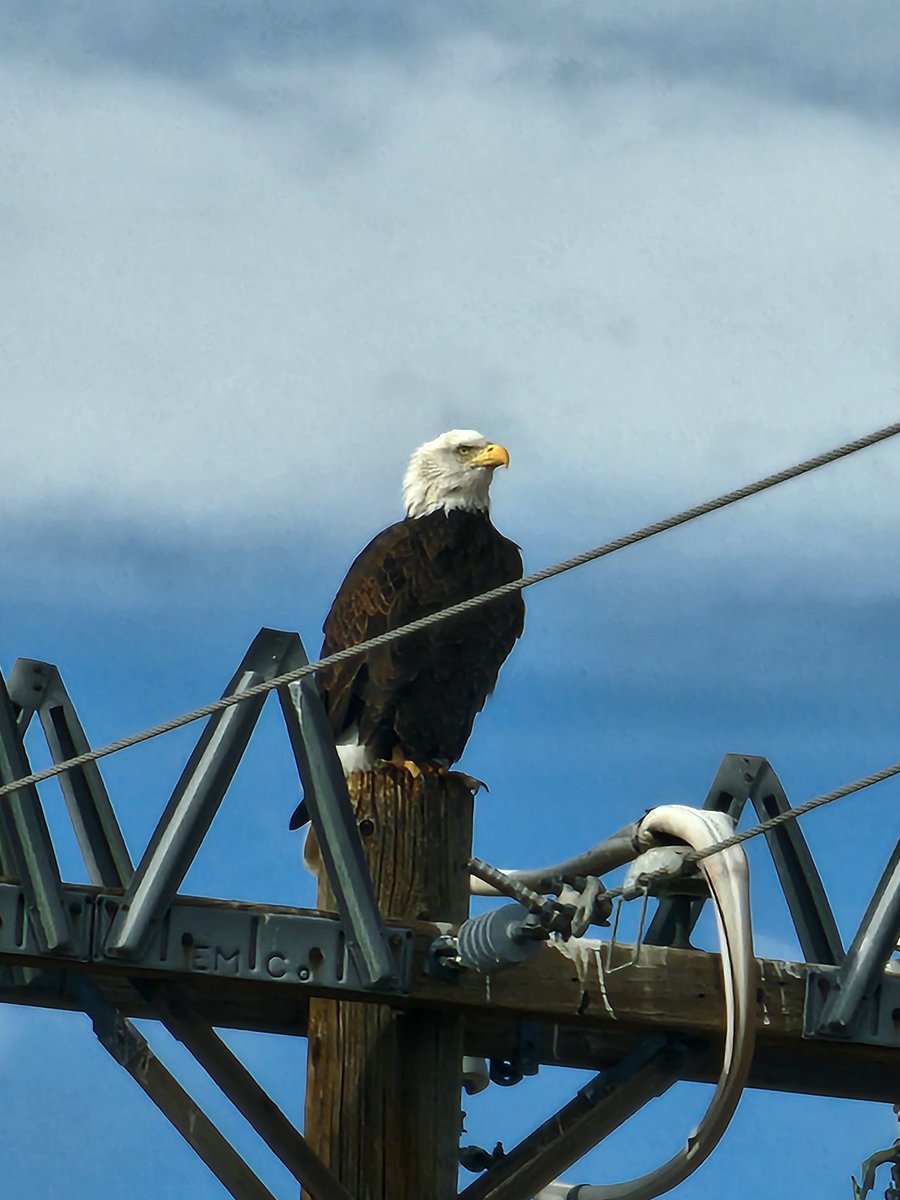 Found this on my expedition outside today