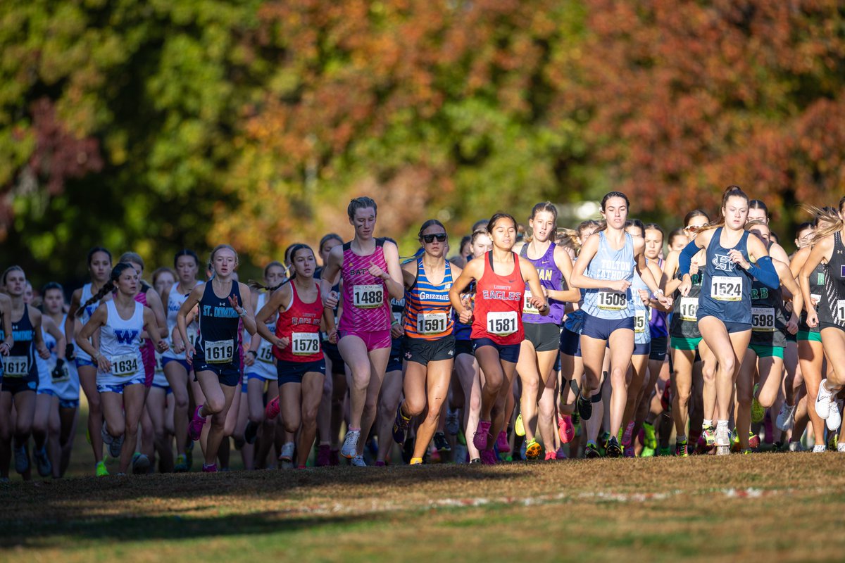 Jeremy Pritchett (STL Media) tweet media