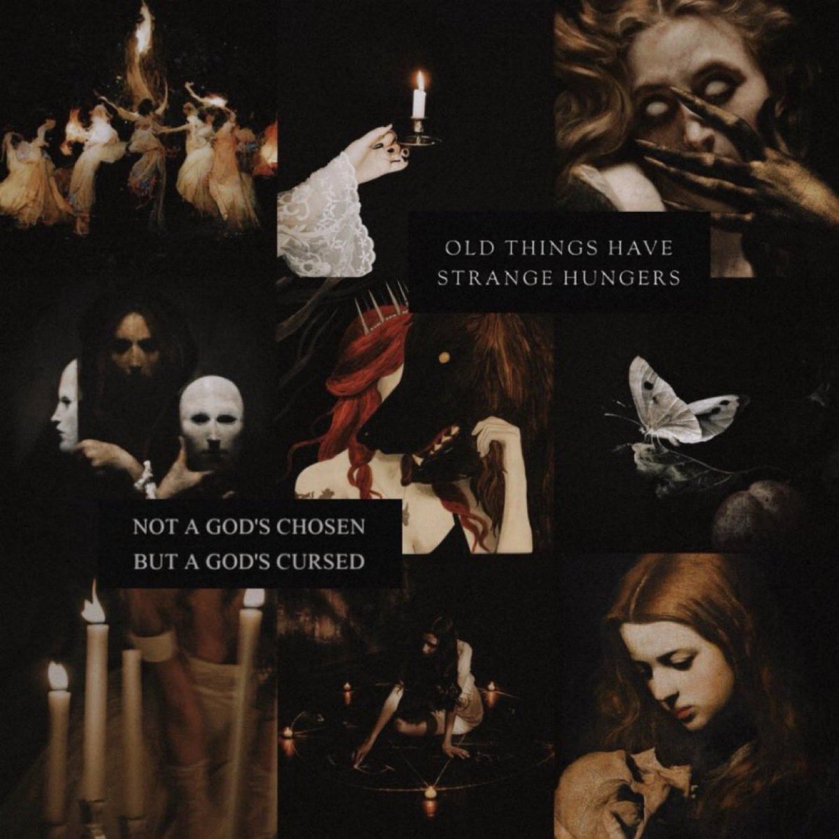 hi #questpit let me introduce my gothic horror contemporary fantasy novel BLACKTHORN 🐦‍⬛

— NINTH HOUSE x THE RAVEN BOYS

if you like
𖦹 accidental summonings
𖦹 irish folklore &amp; mythology
𖦹 multi-povs
𖦹 sapphics, witches, &amp; feminine rage

this book will perfect be for you :)