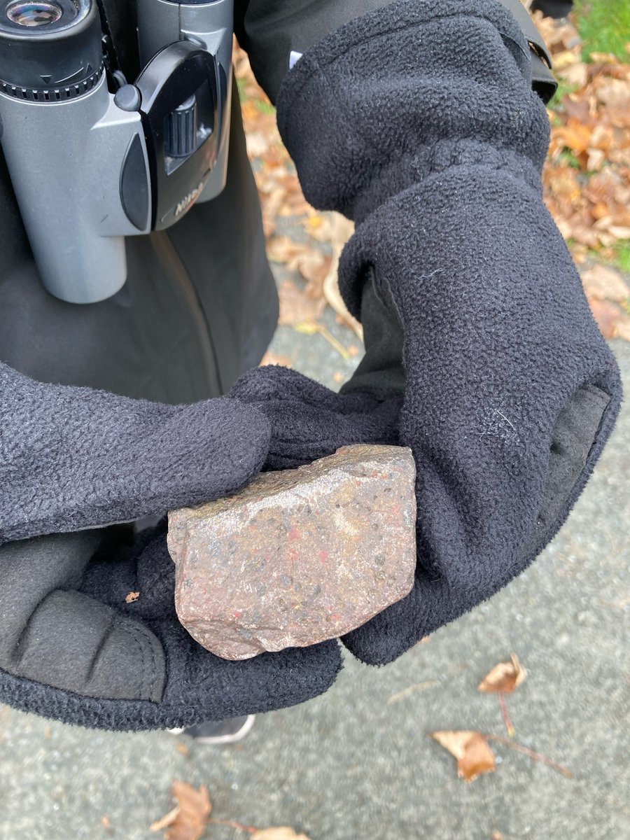 Friends Of Easter Craiglockhart Hill tweet media