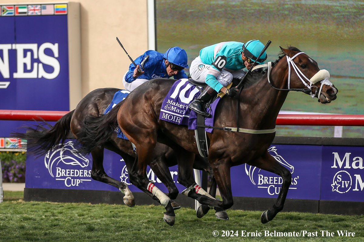 MadaketStables tweet media