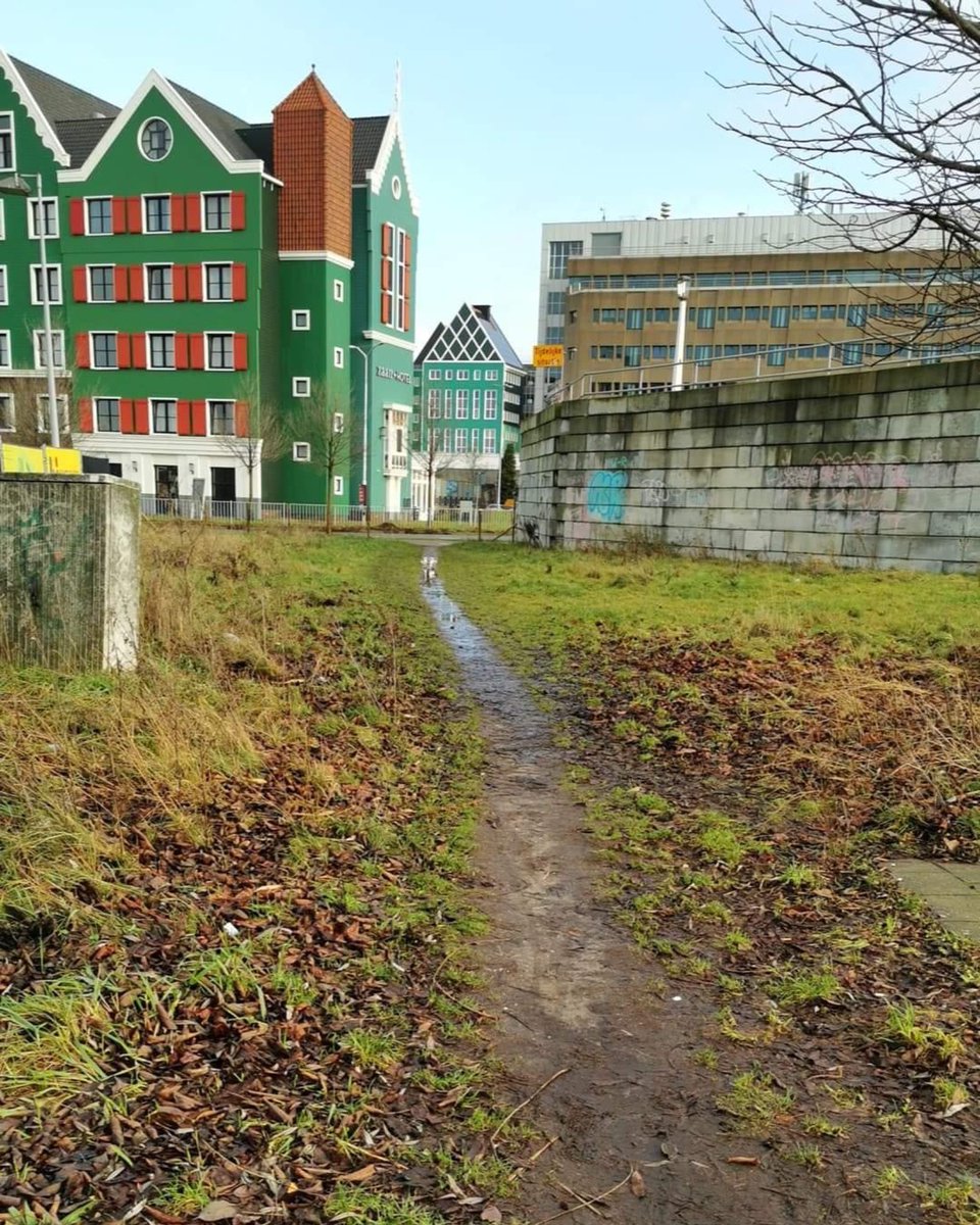 Gespot in Zaandam! 😍

- Waardering: ⭐️⭐️⭐️⭐️
- Terreinwinst: echt veel
- Locatie: Zaandam