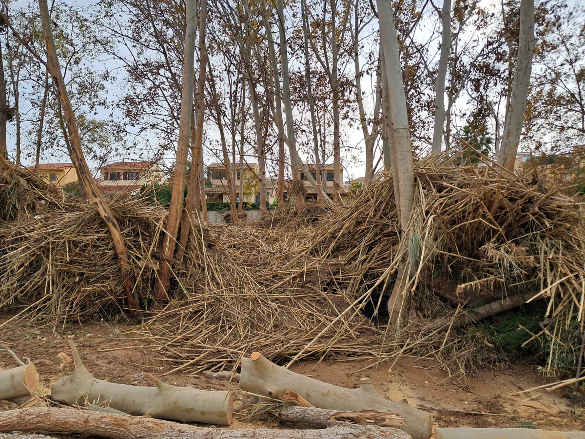 briflubia's tweet image. Nos encontramos ya descansando tras una jornada en la que nos hemos dividido en dos equipos para poder abarcar más zonas de trabajo de las identificadas en los cauces del río #Júcar por la @CHJucar, el organismo que nos solicitó al @mitecogob