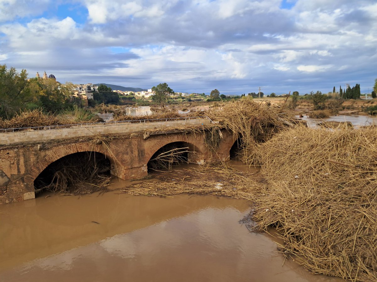 briflubia's tweet image. Nos encontramos ya descansando tras una jornada en la que nos hemos dividido en dos equipos para poder abarcar más zonas de trabajo de las identificadas en los cauces del río #Júcar por la @CHJucar, el organismo que nos solicitó al @mitecogob